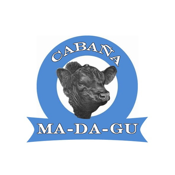 Lote TOROS PUROS CONTROLADOS ANGUS