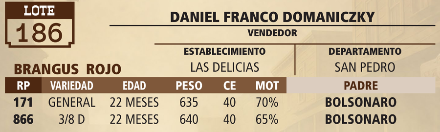 Lote LOTE 186 - VIVO