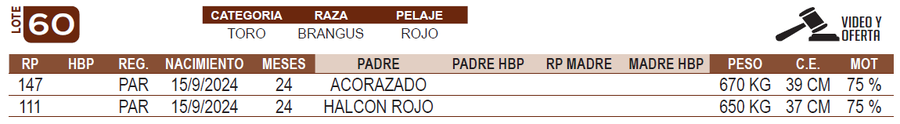 Lote LOTE 60