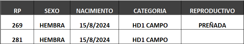 Lote LOTE 6- CAMPO