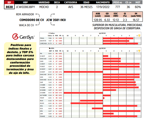 Lote LOTE 59