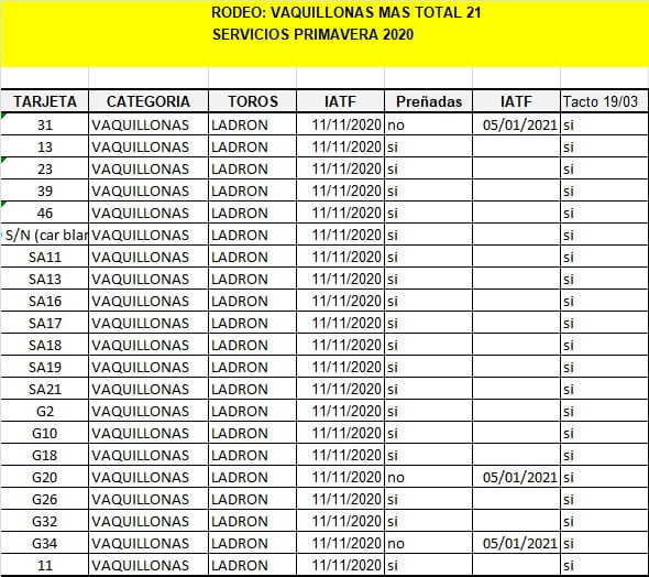 Lote Vaquillonas , Madres Angus Seleccionadas, Preñadas en Olavarria, PBA.-