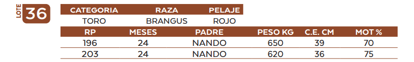 Lote LOTE 36