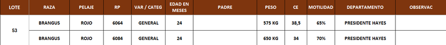 Lote LOTE 53- POR PANTALLA