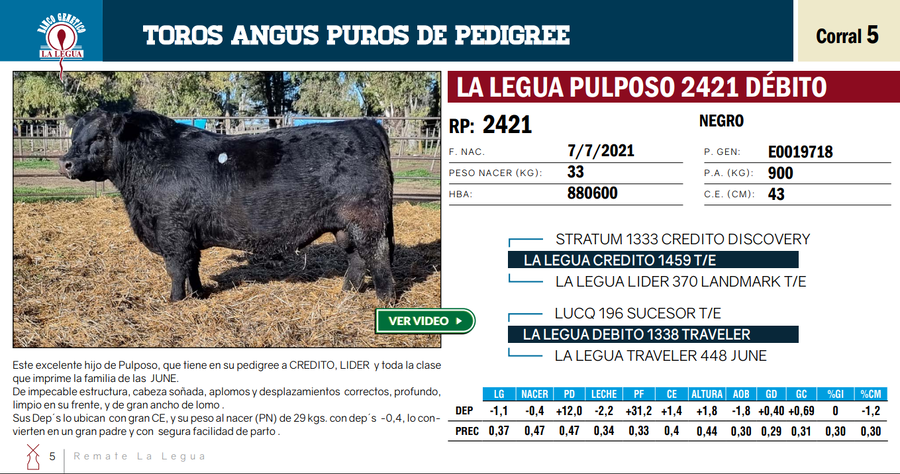 Lote TOROS PP