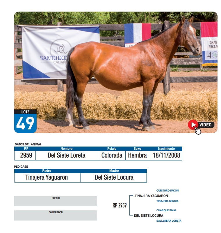 Lote Del Siete Loreta