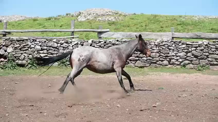 Lote CONSAGRADA DEL LOCAL