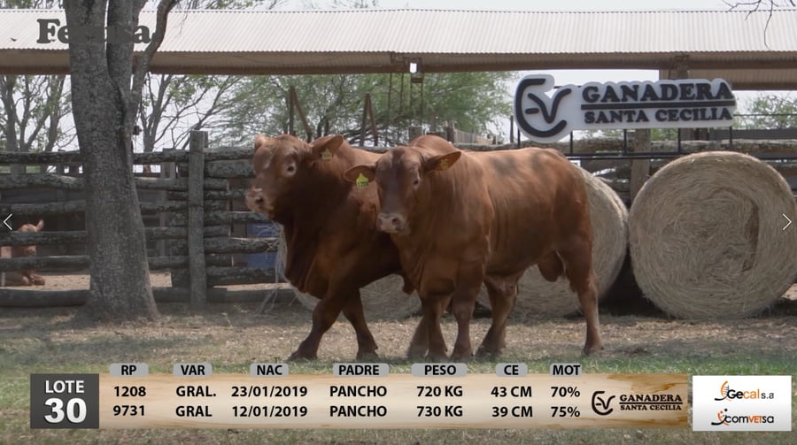 Lote Ganadera Santa Cecilia - Lote 30