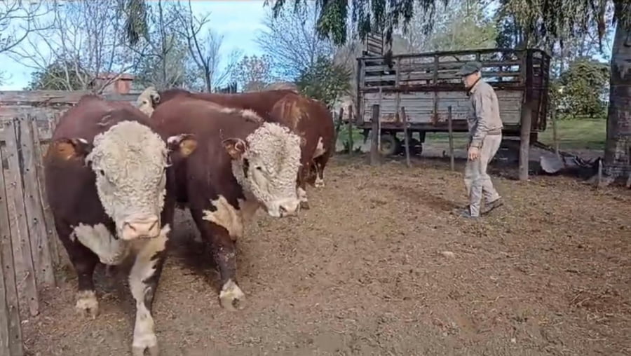Lote Cabaña el Porvenir