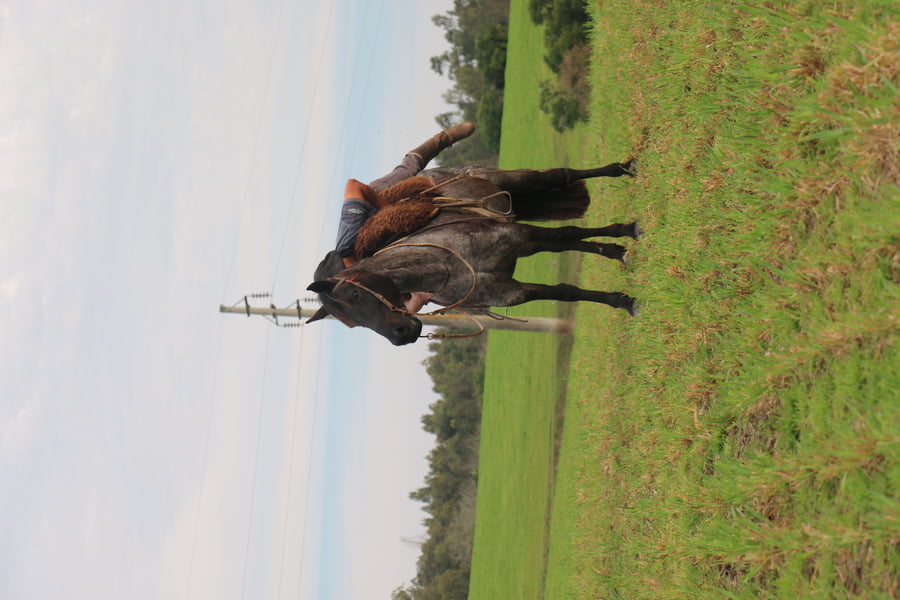 Lote TAPADA DEL CONVENTOS