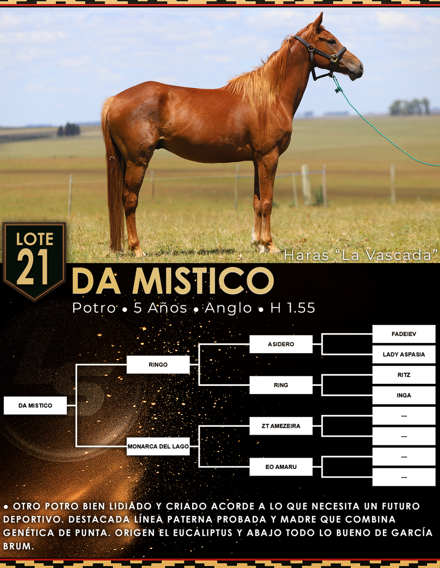 Lote DA MISTICO