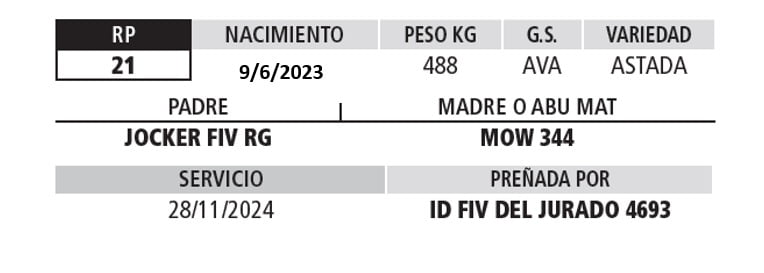 Lote LOTE 14