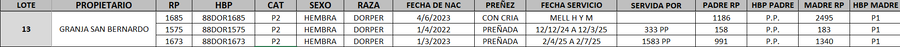 Lote LOTE 13 - DESTACADO