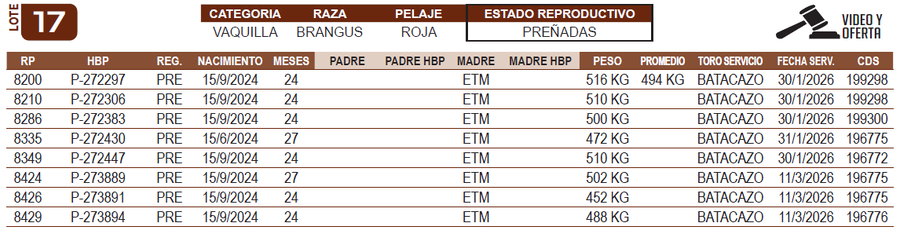 Lote LOTE 17