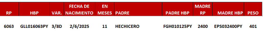 Lote LOTE 11 -DE JUNIOR