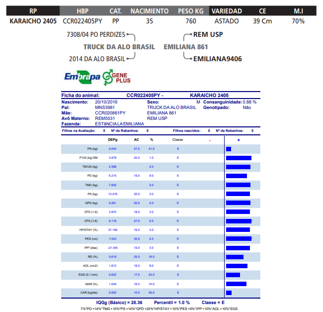 Lote LOTE 50