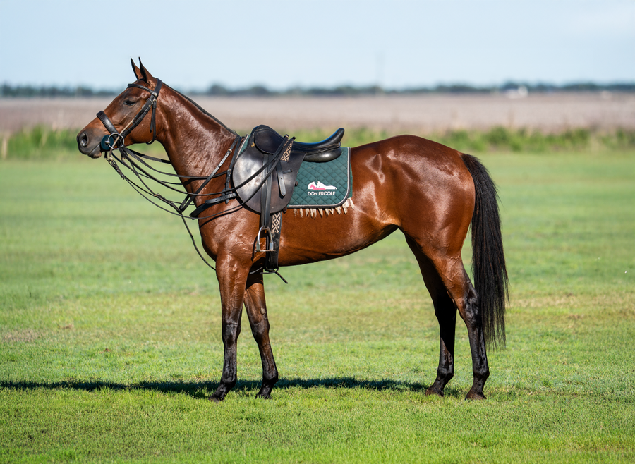 Lote DON ERCOLE ELISIA