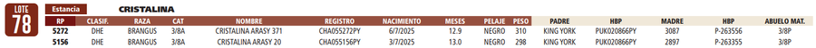 Lote LOTE 78