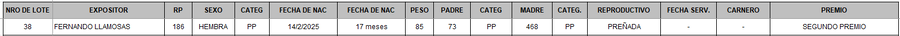 Lote LOTE 38 - BOZAL