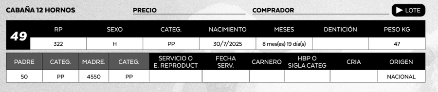 Lote LOTE 49