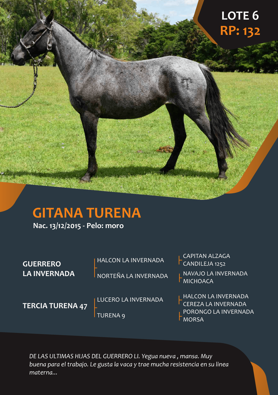 Lote RP 132 - GITANA TURENA