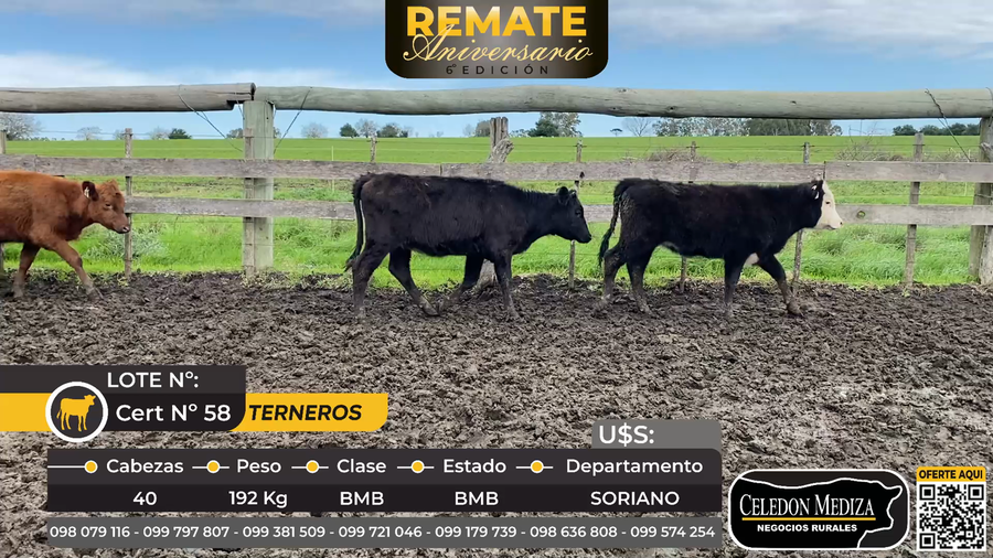 Lote 40 Terneras en Soriano