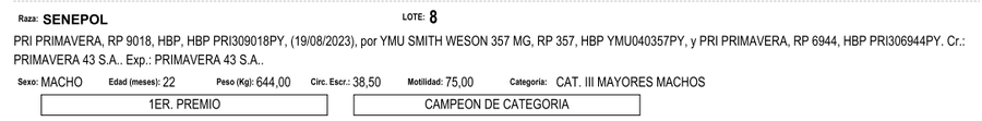 Lote LOTE 8