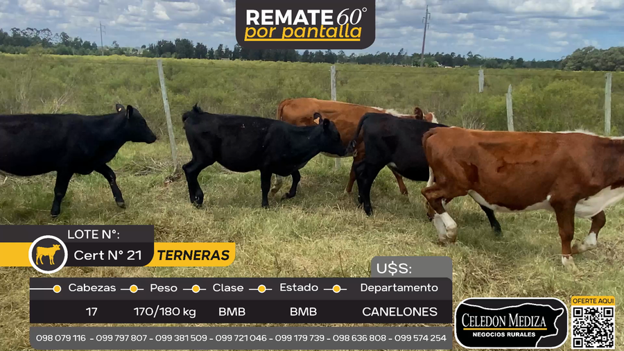 Lote 17 Terneras en Atlántida, Canelones