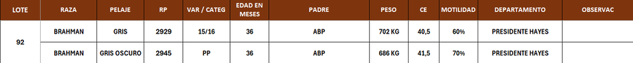 Lote LOTE 92- POR PANTALLA