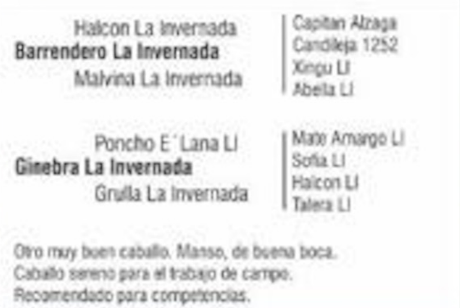 Lote PALENQUE DEL QUEBRACHAL