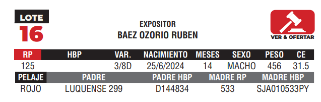 Lote LOTE 16 - JUNIOR