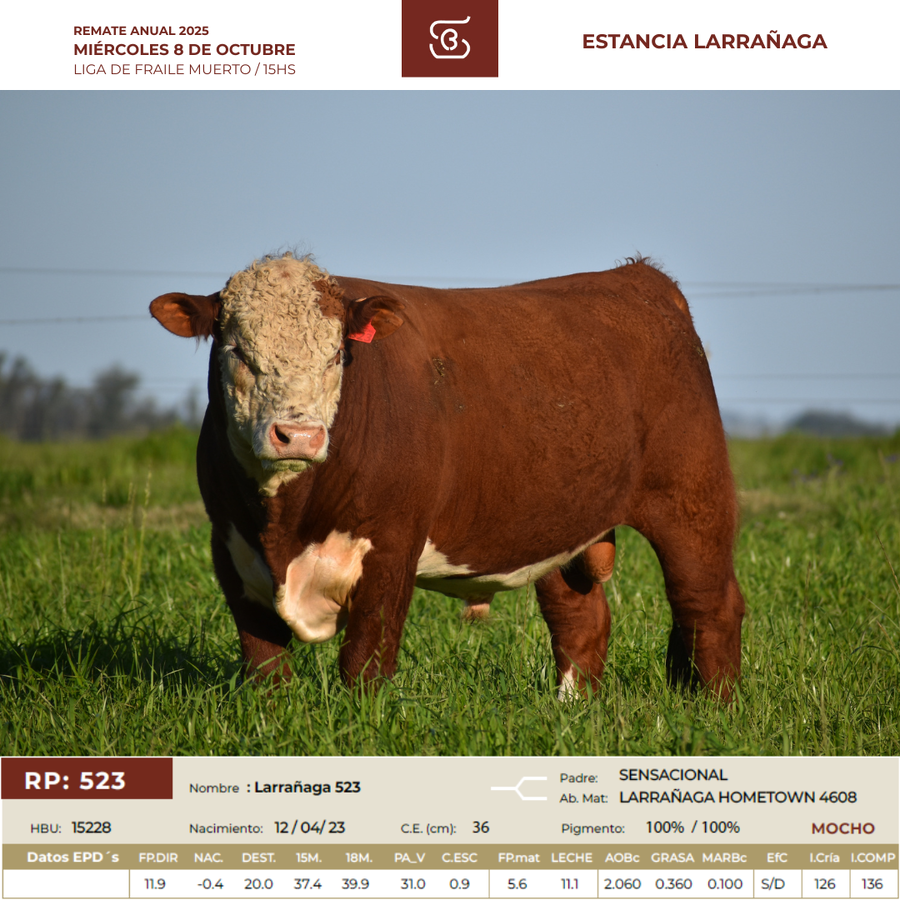Lote RP 523