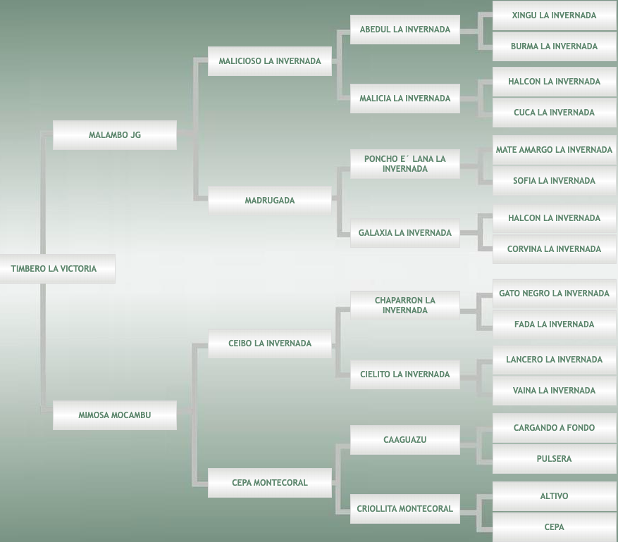 Lote Timbero La Victoria
