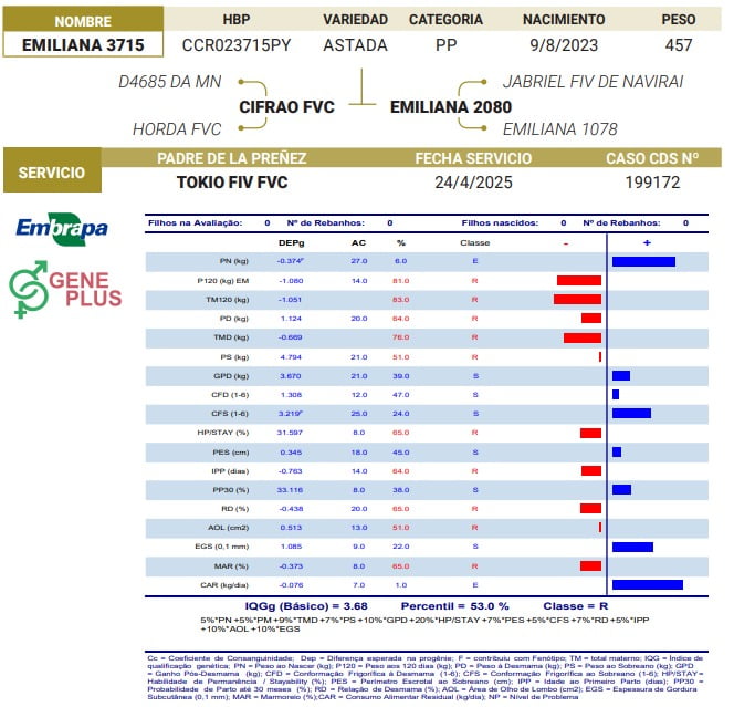 Lote LOTE 61