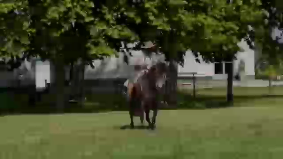 Lote Cañada Brasilera (RP 216) Cabaña "La Cañada"