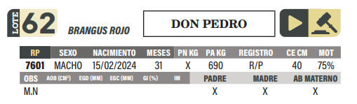 Lote LOTE 62