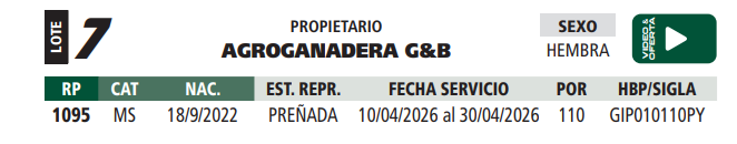 Lote LOTE 7