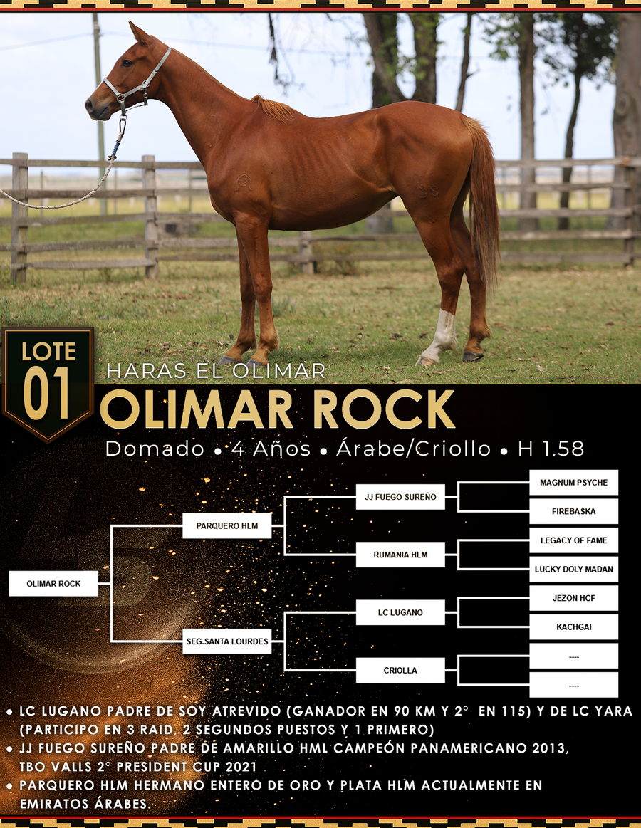 Lote OLIMAR ROCK