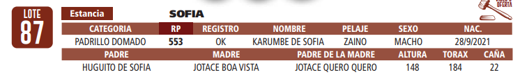 Lote LOTE 87