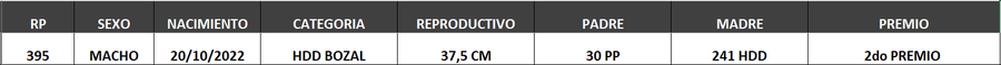 Lote LOTE 65- BOZAL