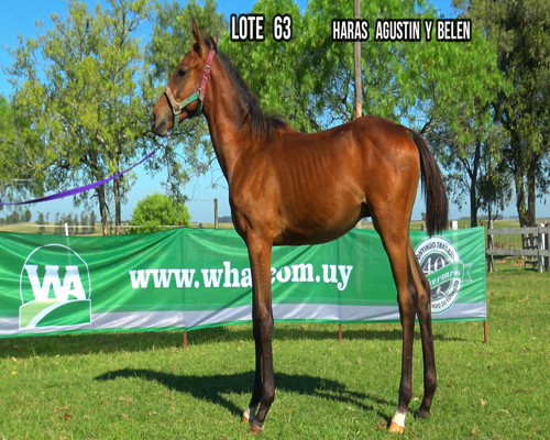 Lote SECRETARIO NEGRO