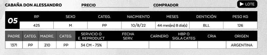 Lote LOTE 5
