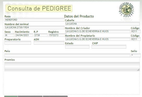 Lote TORO PI - RP 2738