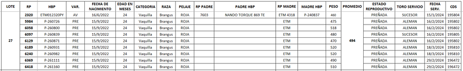 Lote LOTE 27