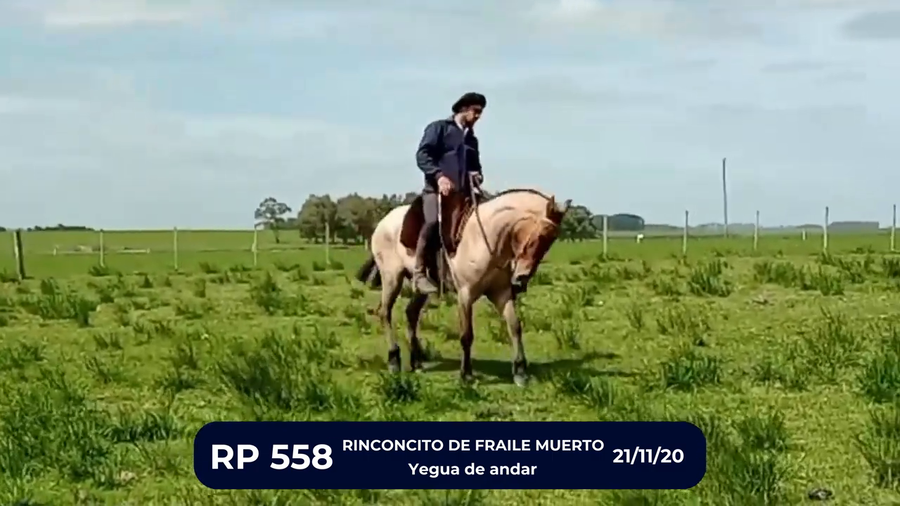 Lote RINCONCITO DE FRAILE MUERTO