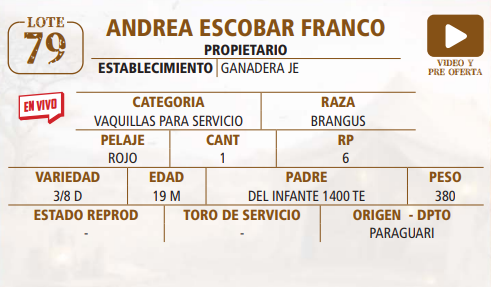 Lote LOTE 79 -EN VIVO