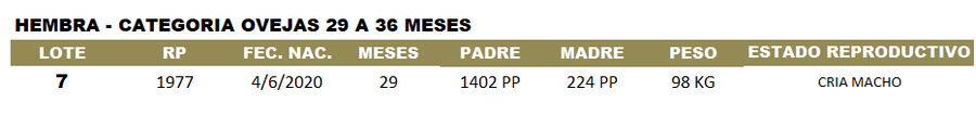 Lote LOTE 7 - CABAÑA ARGENTINA
