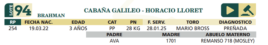 Lote LOTE 94