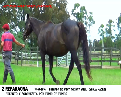 Lote REFARAONA