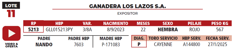 Lote LOTE 11